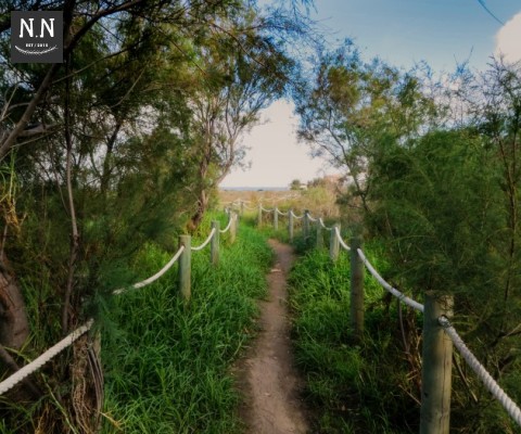 New_Trail_for_Farm_Park